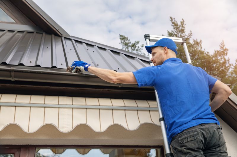 Gutter Cleaning in Frederick, MD