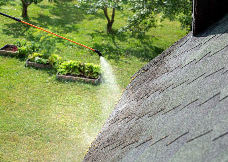 Asphalt Shingles Cleaning in Vancouver, WA