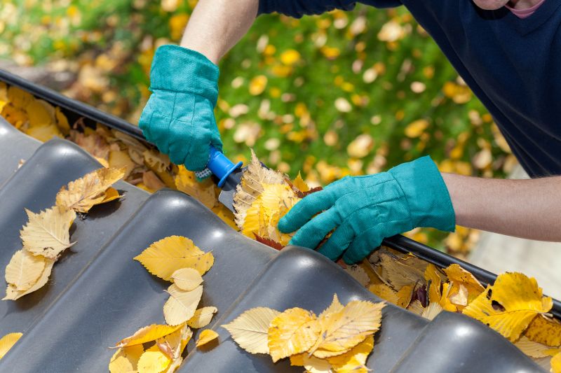 Commercial Gutter Cleaning in Denver, CO