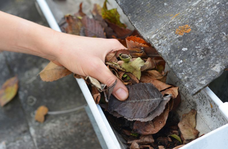 Commercial Gutter Maintenance in Denver County, CO
