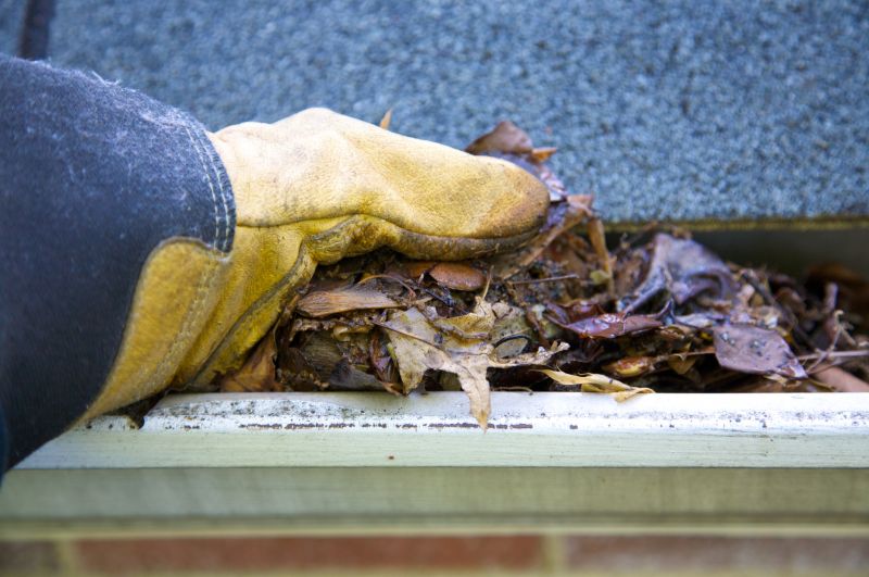 Gutter Blockage Removal in Frederick, MD