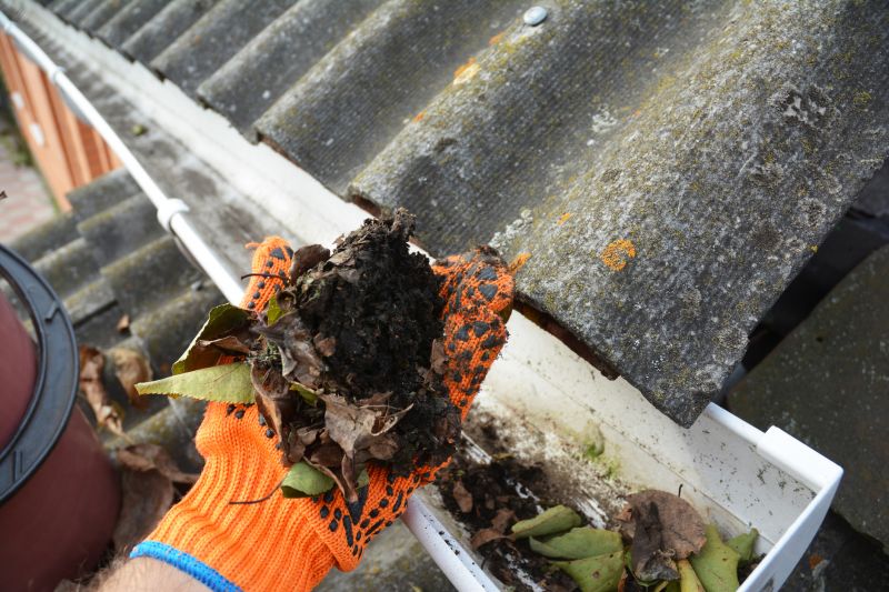 Gutter Cleaning in Frederick, MD