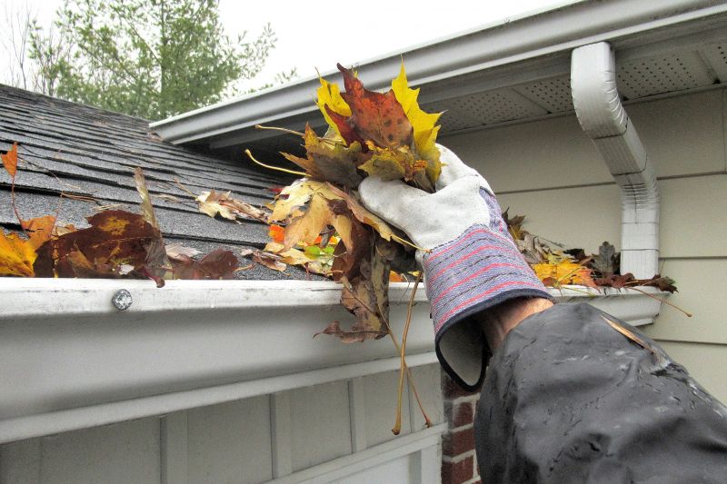 Gutter Cleaning in Annapolis, MD