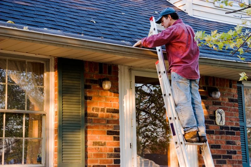 Gutter Cleaning in Monmouth County, NJ
