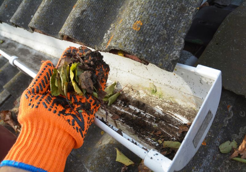Gutter Leaf Clearing in Rochester, NY