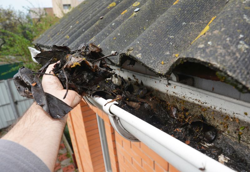 Gutter Leaf Clearing in Boulder, CO