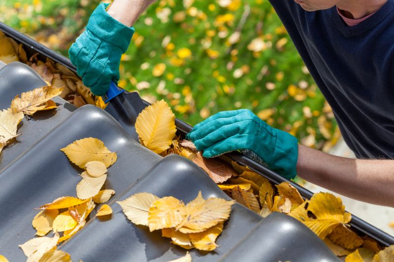 Gutter Leaf Clearing in Arvada, CO