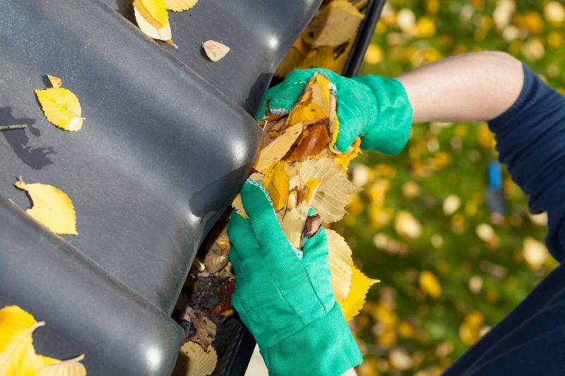 Gutter Maintenance in Baltimore, MD