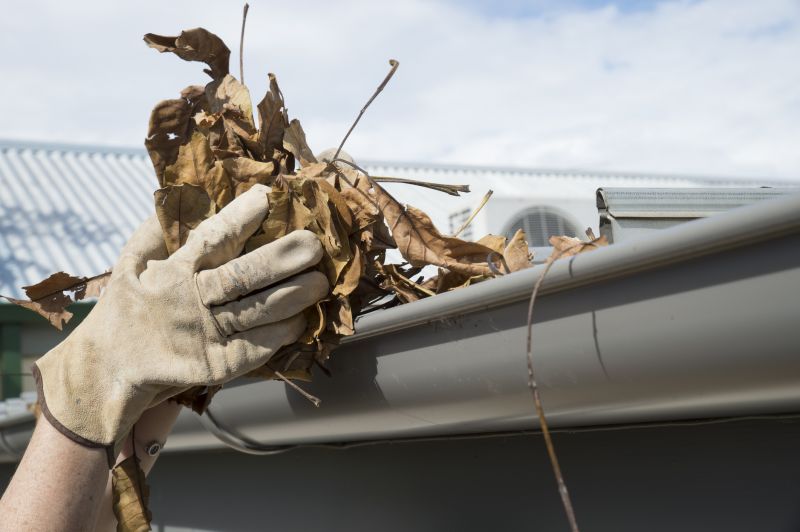 Gutter Pine Needle Removal in Annapolis, MD